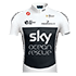 TEAM SKY