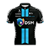 TEAM DSM