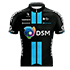 TEAM DSM