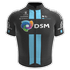 Team Dsm