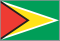 GUY national flag